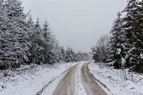 Snowy Road 